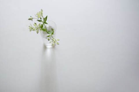 1493372833147891.jpg 1010.jpg