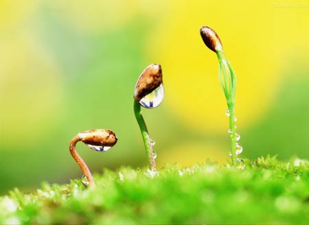 1493373068985791.jpg 002SGqxvzy6LGn4P1zz69&690.jpg