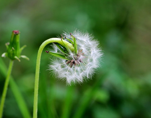 1493373486948231.jpg 2651644.jpg