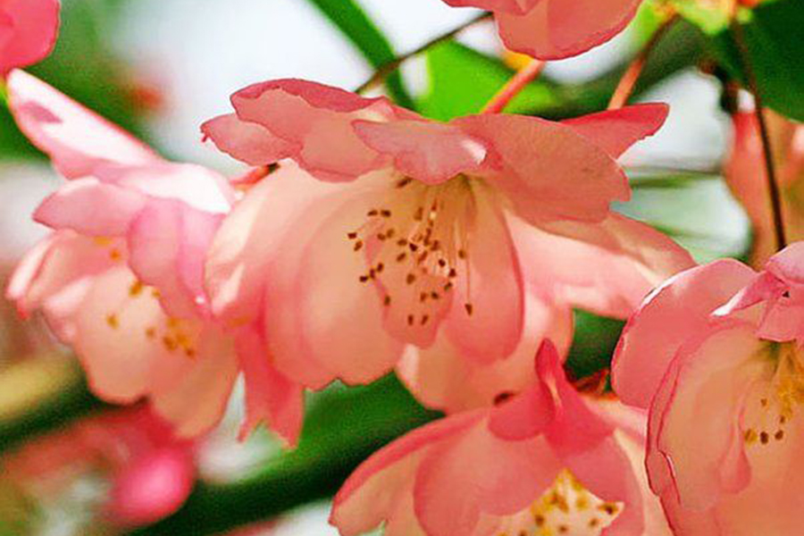 1517474971866032.jpg 3.jpg