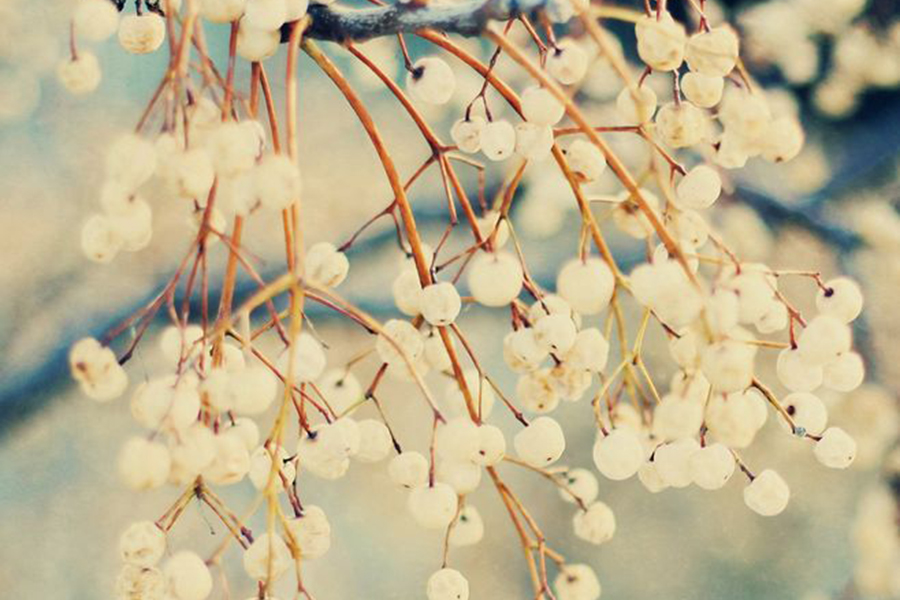 1517474976920677.jpg bf3de79f59071b9e74432d45e1b3bf580a1f9ea58099a-smKoYV_fw658.jpg